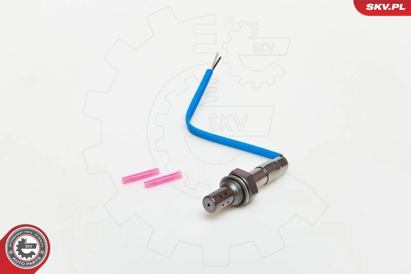 Oxygen Sensor